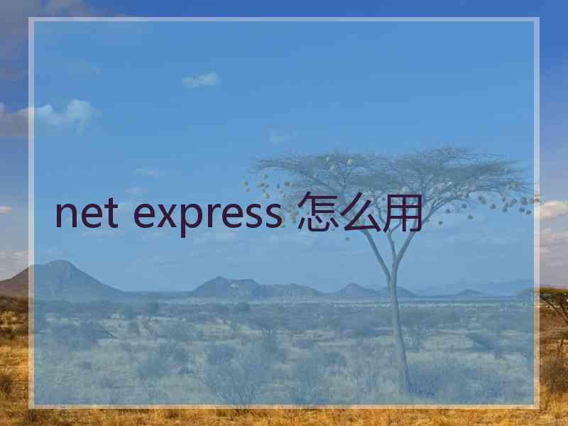 net express 怎么用