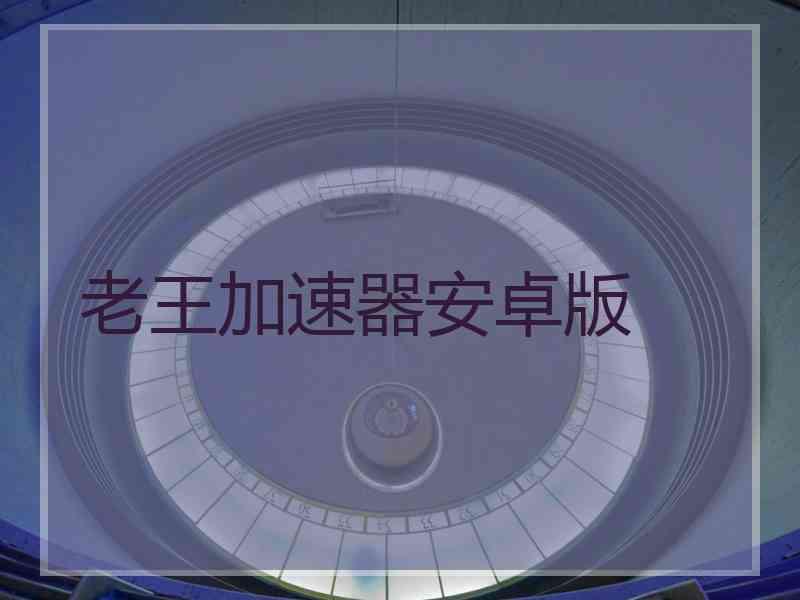 老王加速器安卓版
