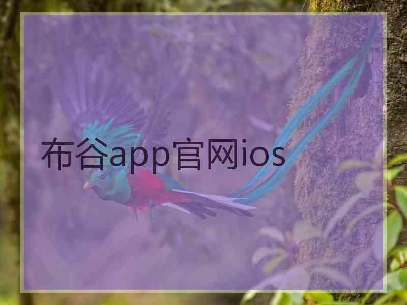 布谷app官网ios