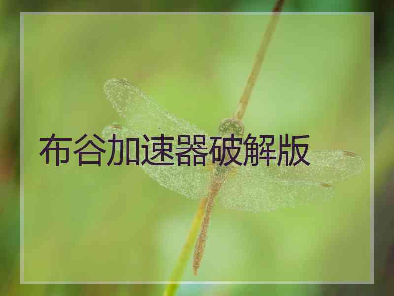 布谷加速器破解版